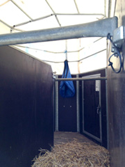 Pferde richtig transportieren